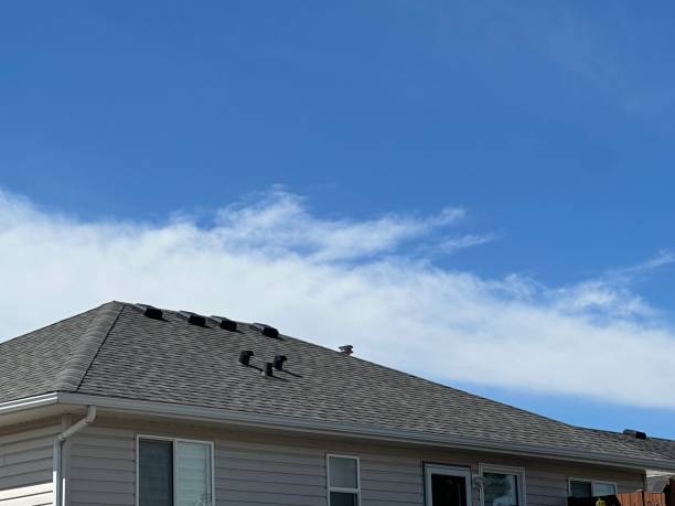 Best Asphalt Shingle Roofing  in Pis, AR